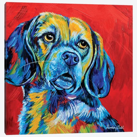 Beagle Canvas Print #DAL163} by Lindsey Dahl Canvas Art