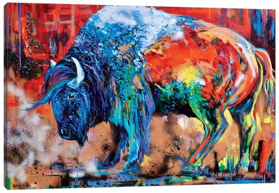 Bill Canvas Art Print - Bison & Buffalo Art
