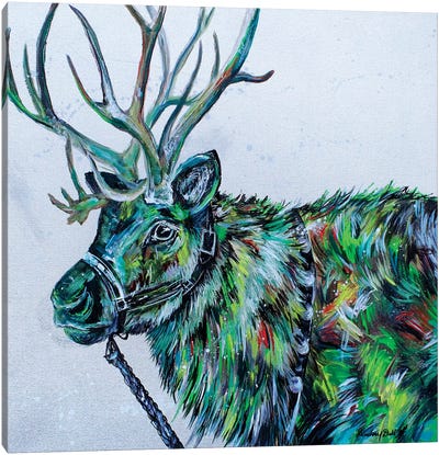 Blitzen Canvas Art Print - Reindeer Art
