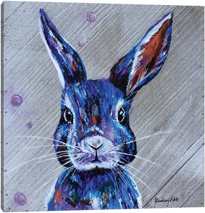 Peter Canvas Art Print - Rabbit Art
