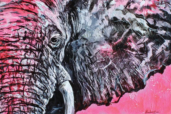 Lindsey Dahl: Pretty In Pink by Lindsey Dahl