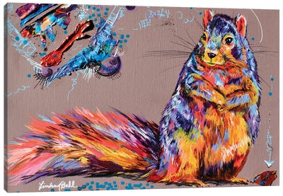 Squirrel Thoughts Canvas Art Print - Lindsey Dahl
