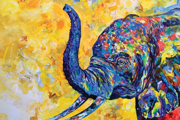 Lindsey Dahl: Funfetti by Lindsey Dahl