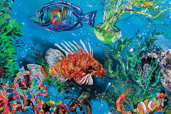 Clown Fish: Under The Sea by Lindsey Dahl