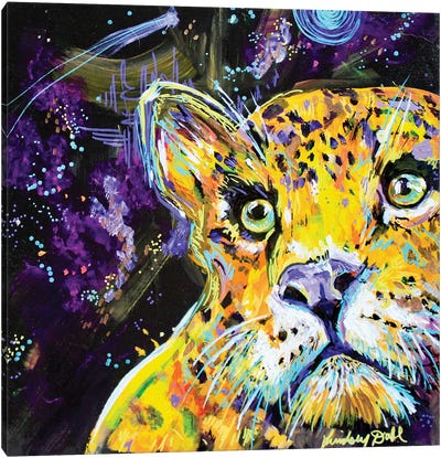 Leopard Study Canvas Art Print - Leopard Art