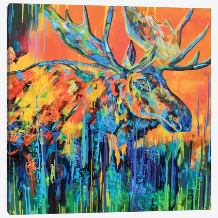 Moose Canvas Print #DAL233} by Lindsey Dahl Canvas Artwork