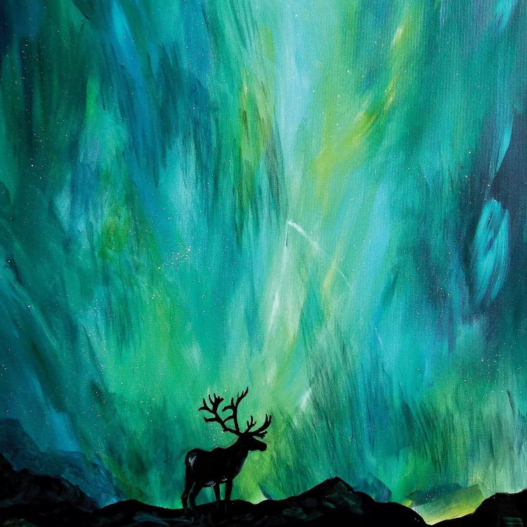 Elk Northern Lights