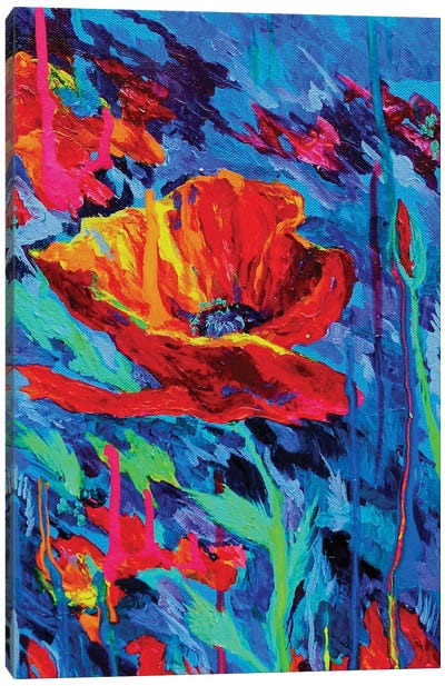 Abstract Poppies Canvas Art Print - Lindsey Dahl