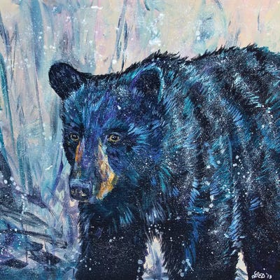 Icy Bear by Lindsey Dahl framed canvas print