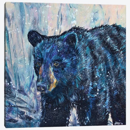 Icy Bear Canvas Print #DAL46} by Lindsey Dahl Canvas Art Print