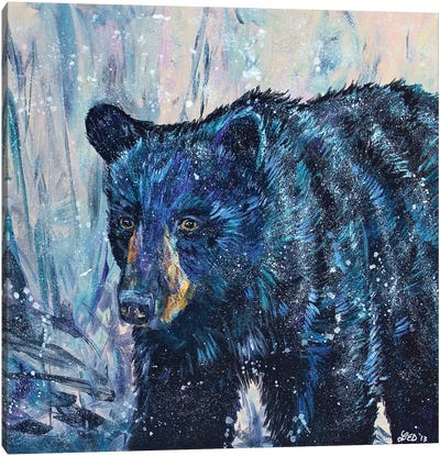 Icy Bear Canvas Art Print - Lindsey Dahl