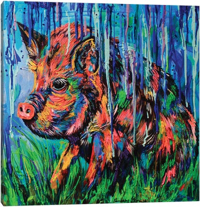 It's Raining Canvas Art Print - Pig Art
