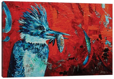 Kingfisher Canvas Art Print - Lindsey Dahl