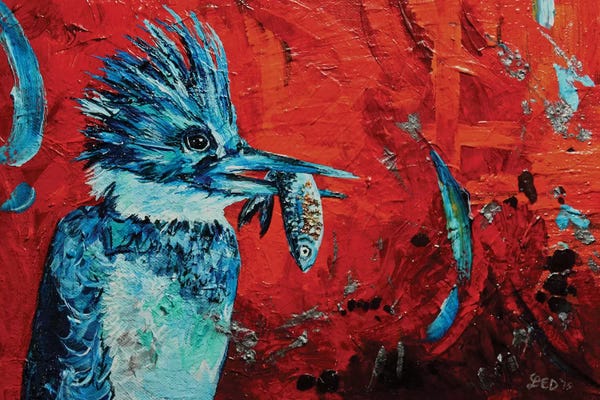 Kingfishers: Kingfisher by Lindsey Dahl