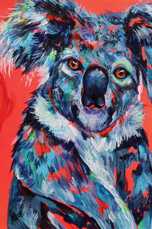 Koala