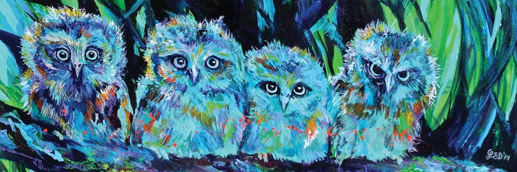 Owlet Blues