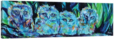 Owlet Blues Canvas Art Print - Owl Art