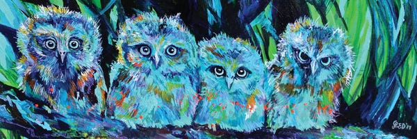 Lindsey Dahl: Owlet Blues by Lindsey Dahl