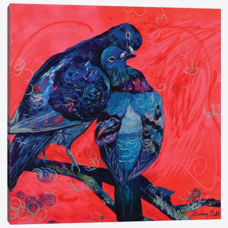 Pigeon Preen Canvas Print #DAL79} by Lindsey Dahl Canvas Print