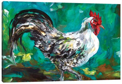 Black And White Canvas Art Print - Chicken & Rooster Art