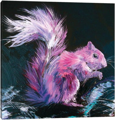 Pink Squirrel Canvas Art Print - Rodent Art