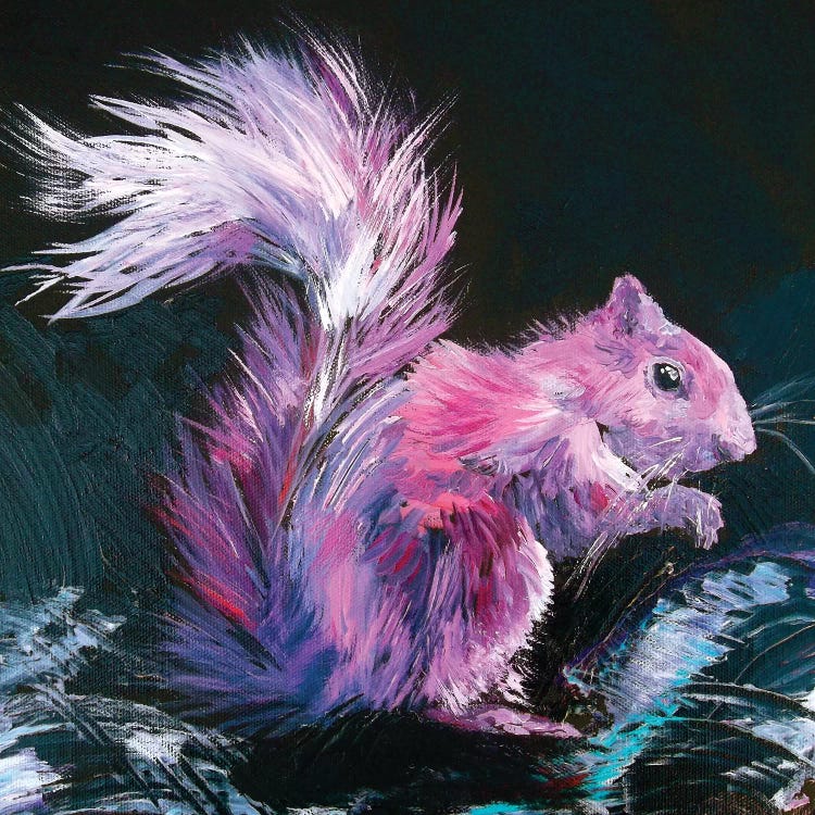 Pink Squirrel