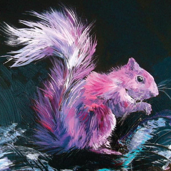 Black & Pink: Pink Squirrel by Lindsey Dahl