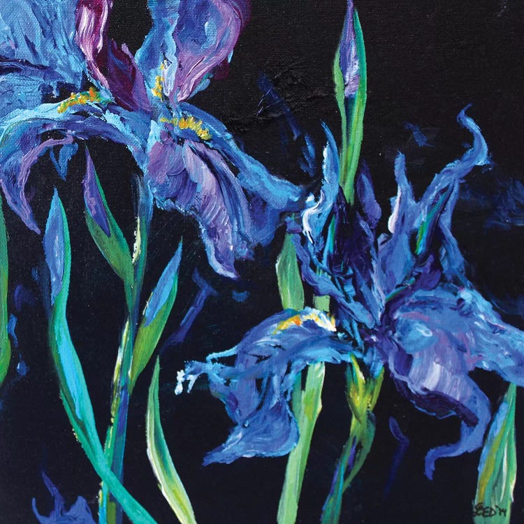 Blue Iris