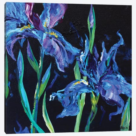 Blue Iris Canvas Print #DAL8} by Lindsey Dahl Art Print