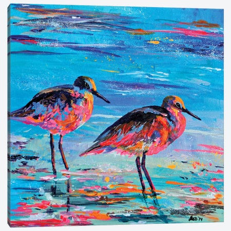 Shore Birds Canvas Print #DAL93} by Lindsey Dahl Canvas Print