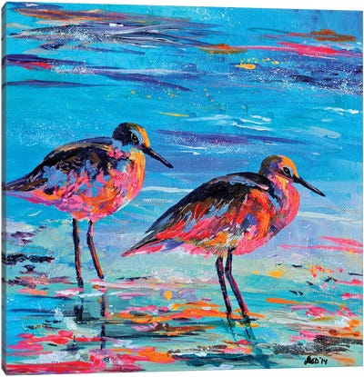 Shore Birds Canvas Art Print - Lindsey Dahl