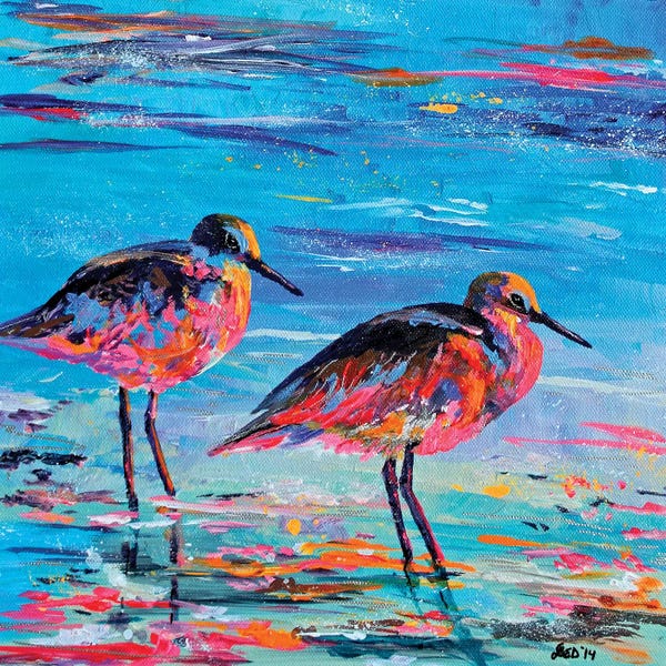 Lindsey Dahl: Shore Birds by Lindsey Dahl