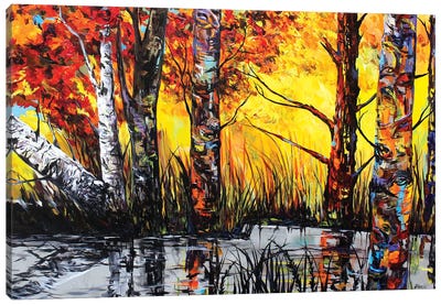 Silver River Reflection Canvas Art Print - Lindsey Dahl