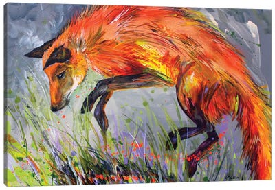 Spring Fox Canvas Art Print - Lindsey Dahl