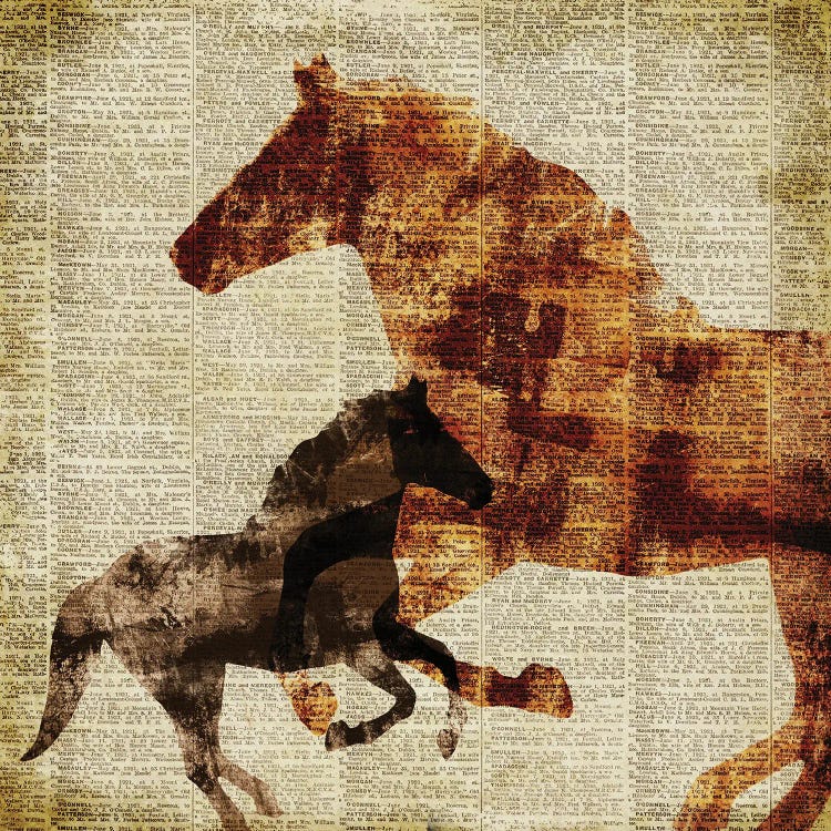 Horses on Newsprint II by Dan Meneely wall art