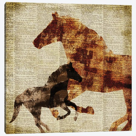 Horses on Newsprint II Canvas Print #DAM111} by Dan Meneely Canvas Artwork
