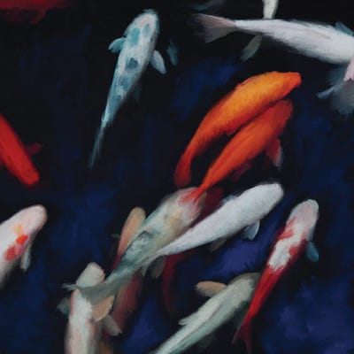 Koi by Dan Meneely canvas print