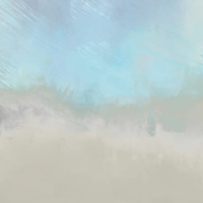 Misty Fog I by Dan Meneely framed canvas print