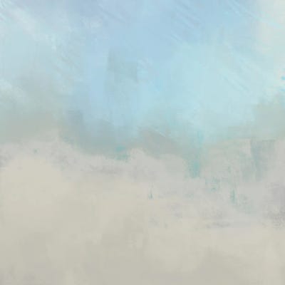 Misty Fog II by Dan Meneely framed canvas print