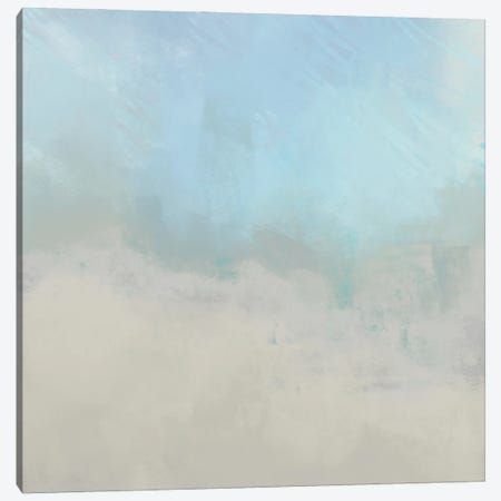 Misty Fog II Canvas Print #DAM118} by Dan Meneely Canvas Wall Art