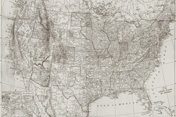 Flags: Natural US Map by Dan Meneely