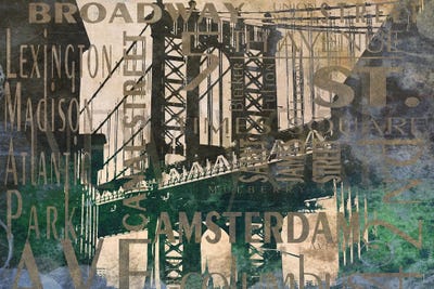 NY Bridge Type II by Dan Meneely framed canvas print