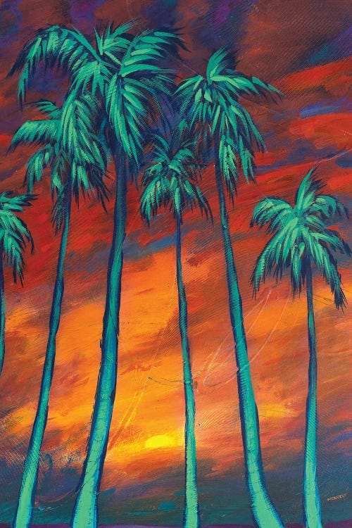 Palms At Dusk by Dan Meneely wall art
