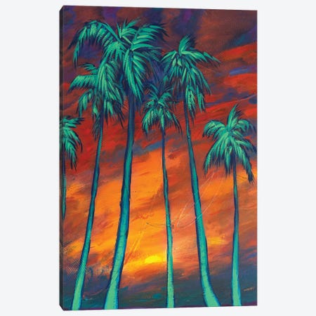 Palms At Dusk Canvas Print #DAM133} by Dan Meneely Canvas Art