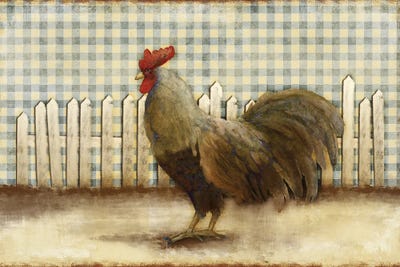 Rooster by Dan Meneely framed canvas print