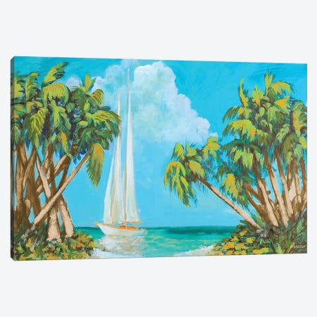 Sailboat Among Palms Canvas Print #DAM140} by Dan Meneely Canvas Print