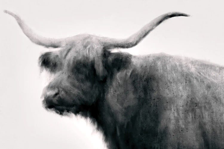 Vintage Bull