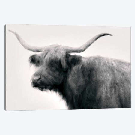 Vintage Bull Canvas Print #DAM146} by Dan Meneely Canvas Art