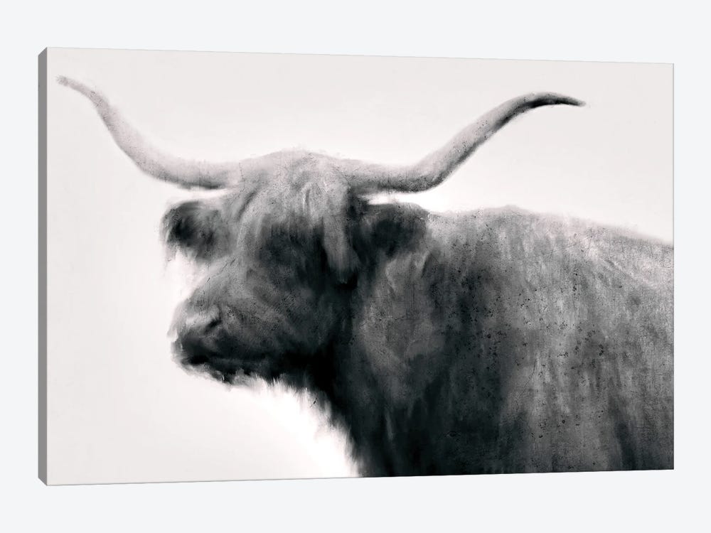 Vintage Bull by Dan Meneely 1-piece Canvas Print