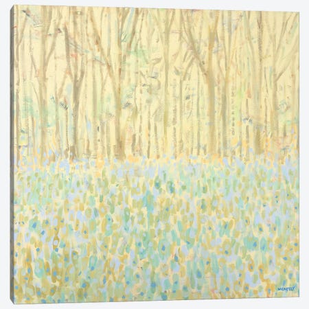 Yellow Birchwood Trees Canvas Print #DAM151} by Dan Meneely Canvas Wall Art
